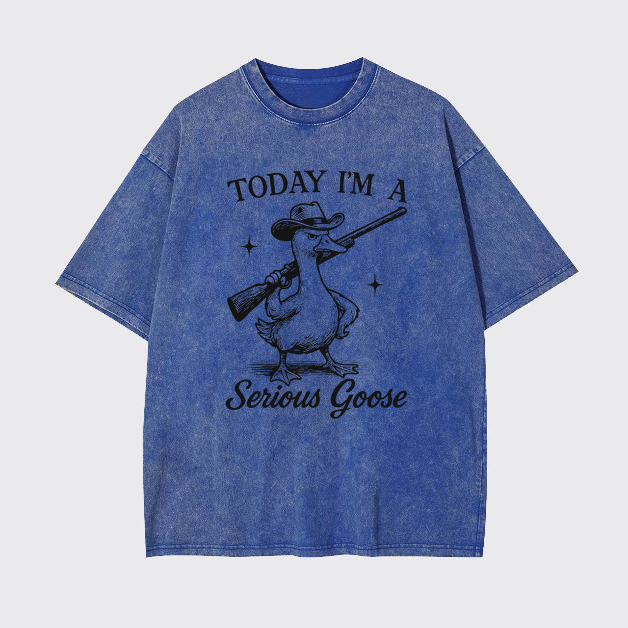Retro Silly Goose-Today I'm A Serious Goose Garment-dye Tees