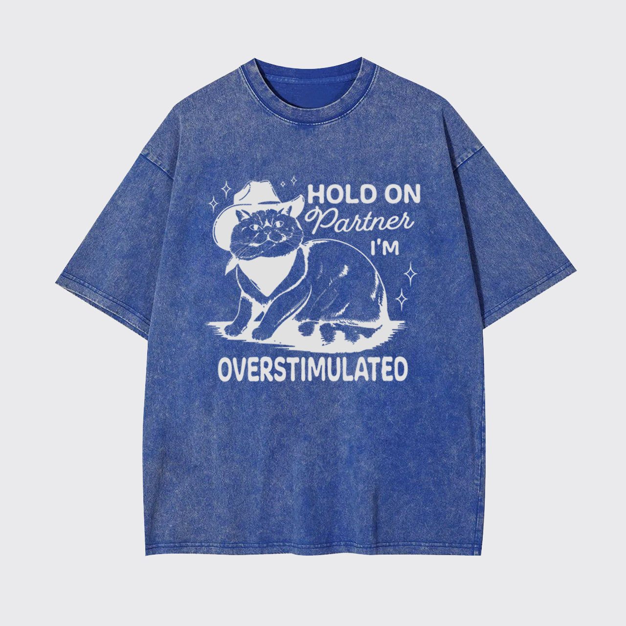 Funny Sarcastic Cat 90s Hold On Partner I'm Overstimulated Garment-dye Tees