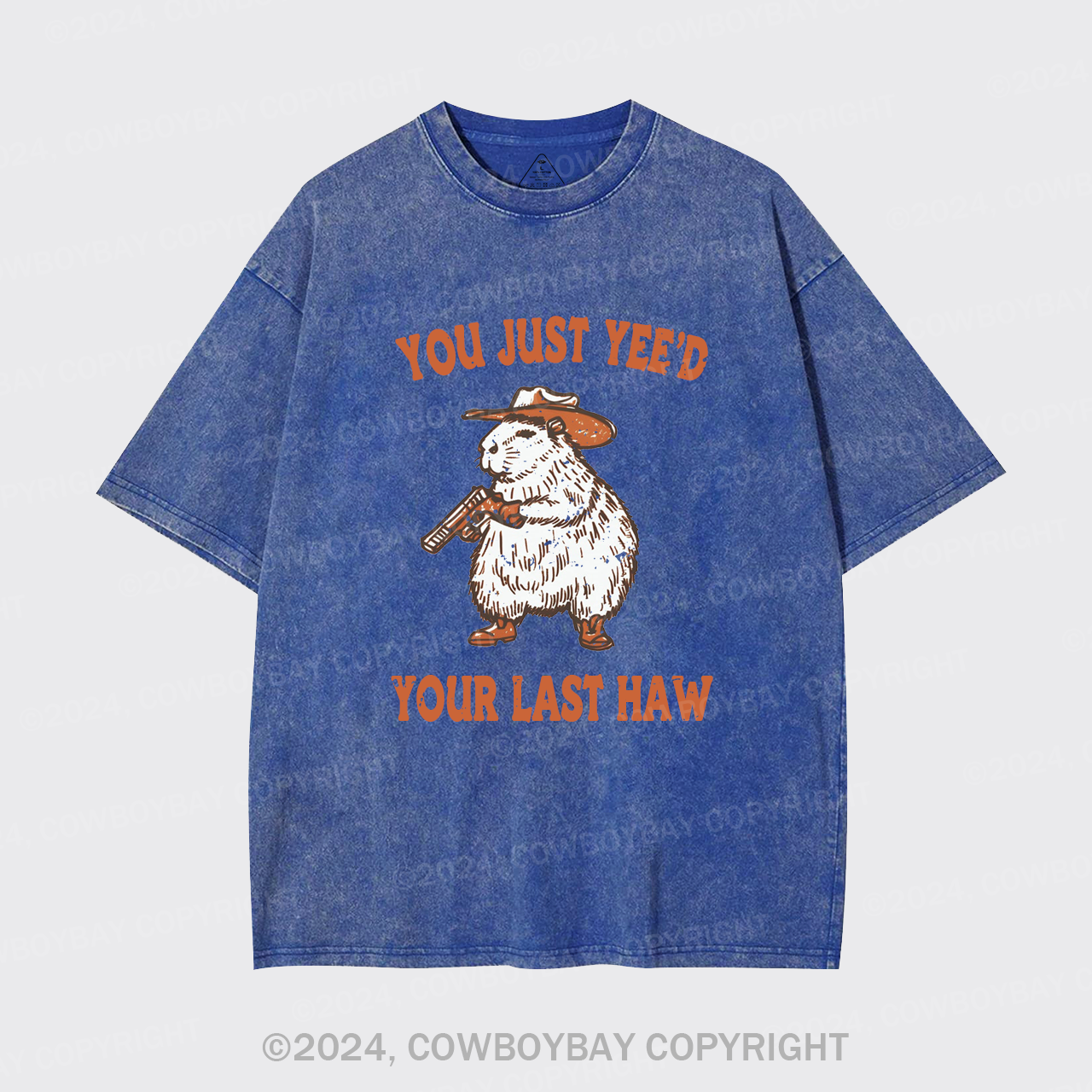 You've Lost Your Last Chance Garment-dye Tees