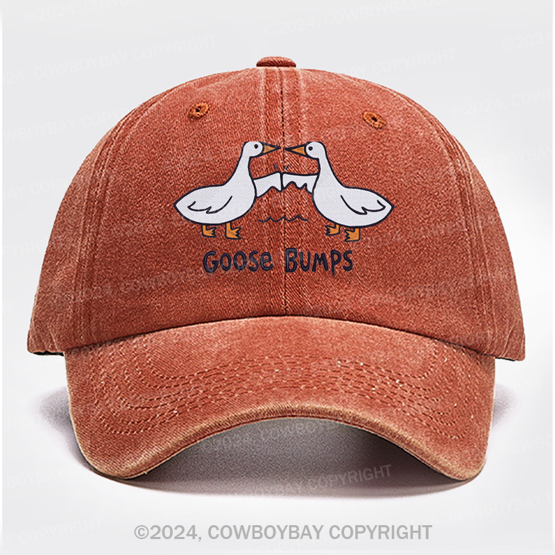 Goose Bump Embroidery Washed Hat
