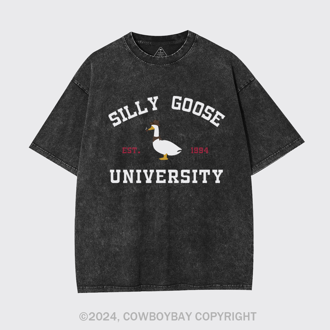 Silly Goose University Garment-dye Tees