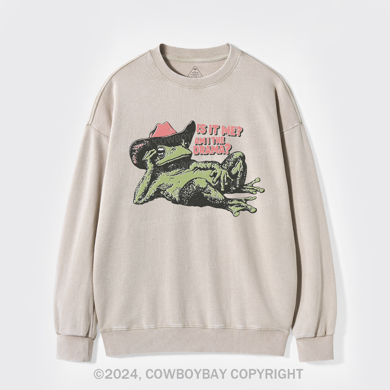 Is It Me, Am I The Drama Washed Sweatshirts