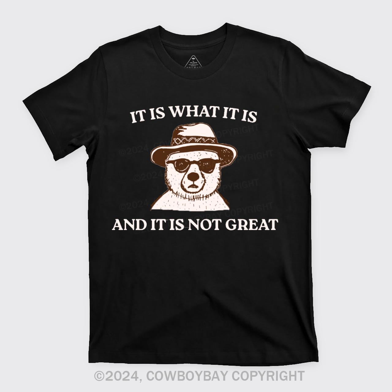 It Is What It Is And It Is Not Great T-Shirts