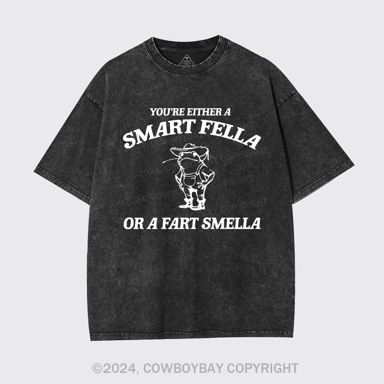 Are You A Smart Fella Or Fart Smella Garment-dye Tees