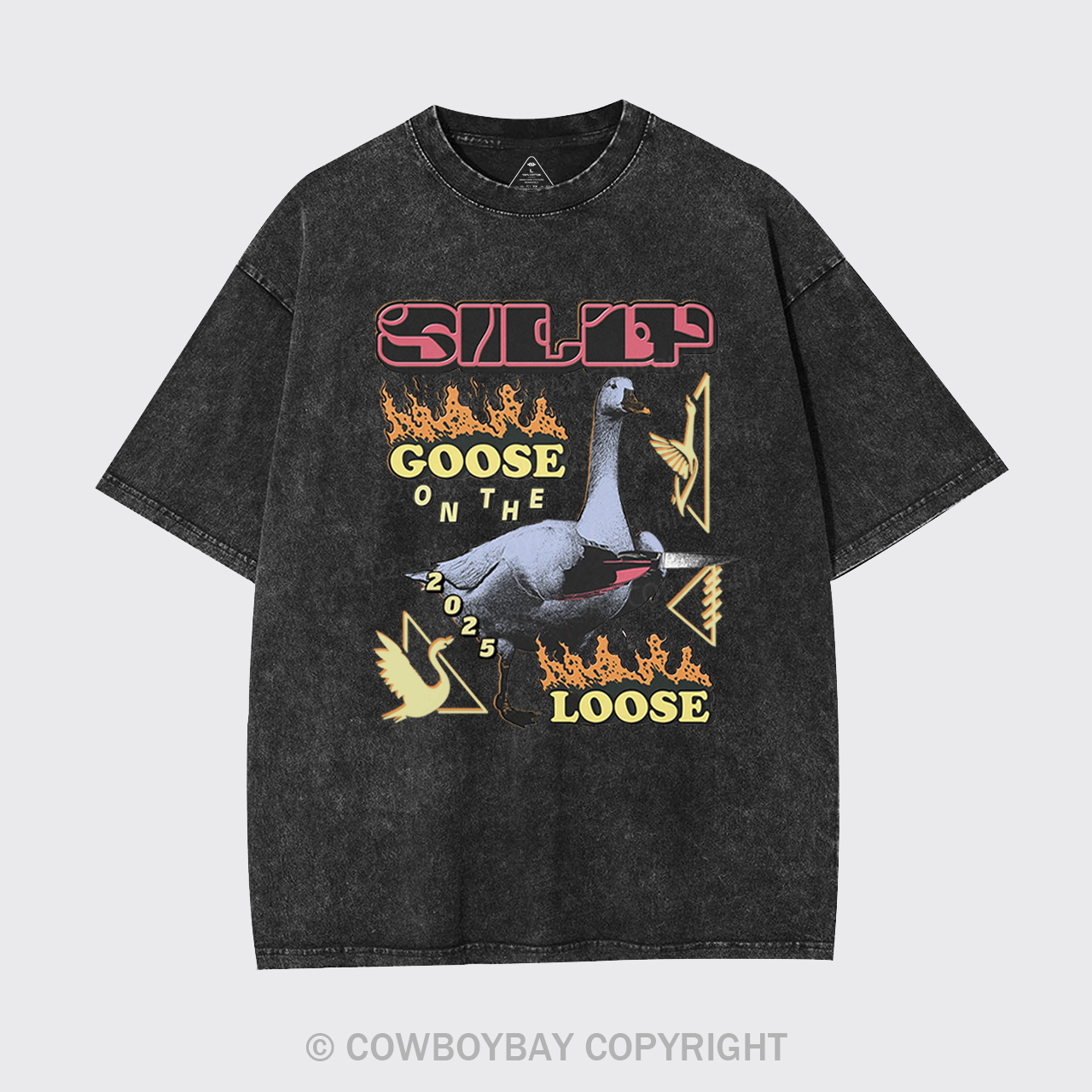 Silly Goose On The 2025 Loose Garment-dye Tees