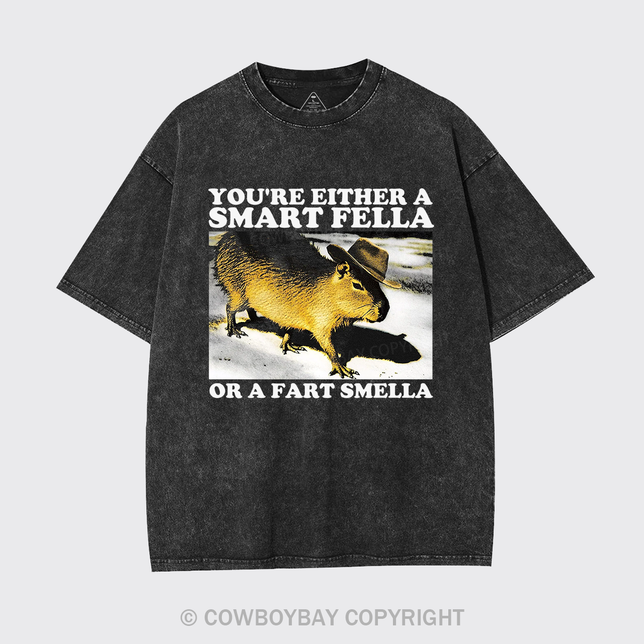 Retro Smart Fella Fart Smella Capybara 90s Garment-dye Tees