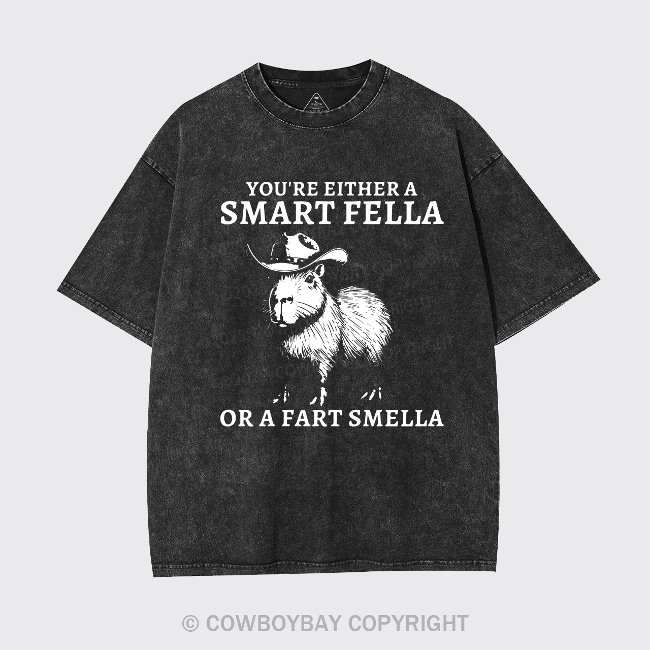 Retro Smart Fella Capybara 90s Garment-dye Tees