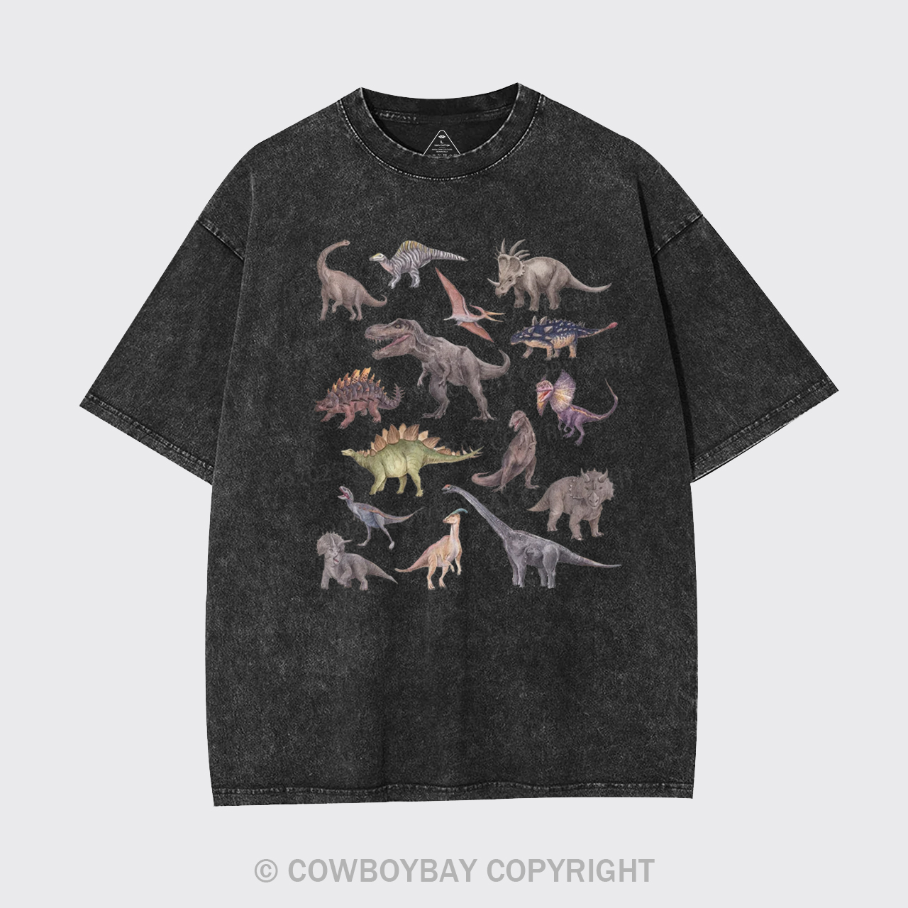 Dinosaur Garment-dye Tees