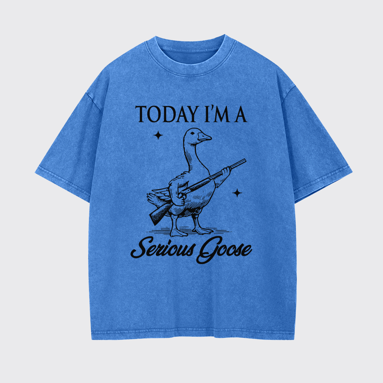 Today I'm Serious Goose Garment-dye Tees