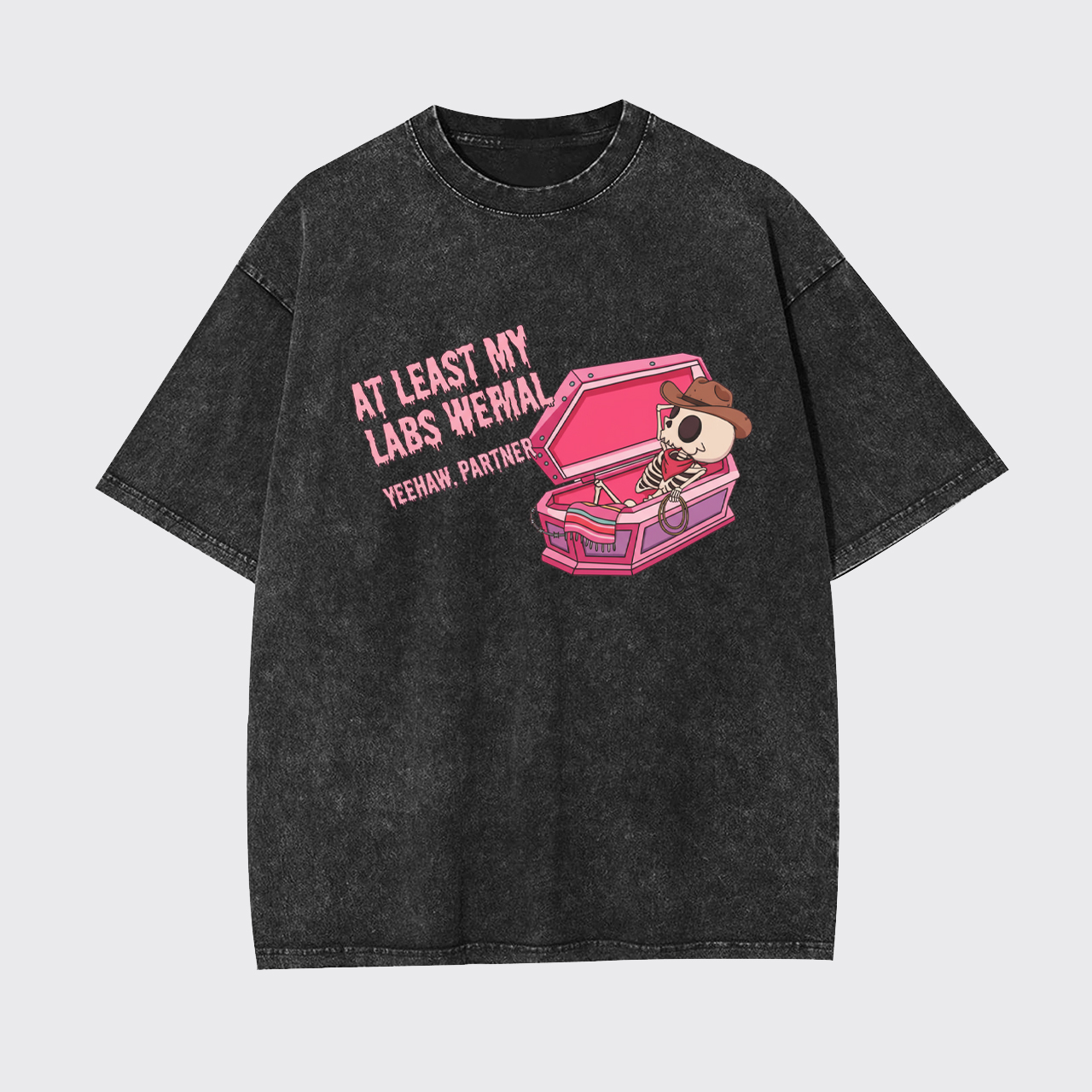 At Least My Labs Were Normal Garment-dye Tees