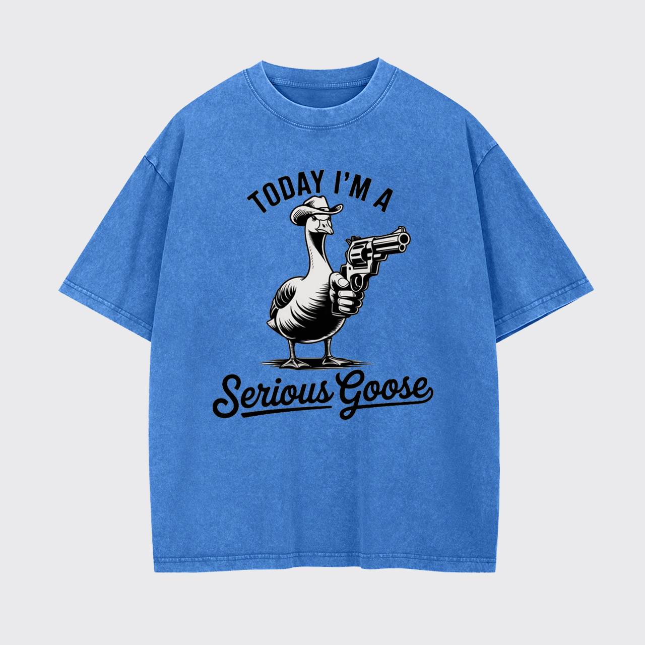 Today I'm a Serious Goose Funny Garment-dye Tees