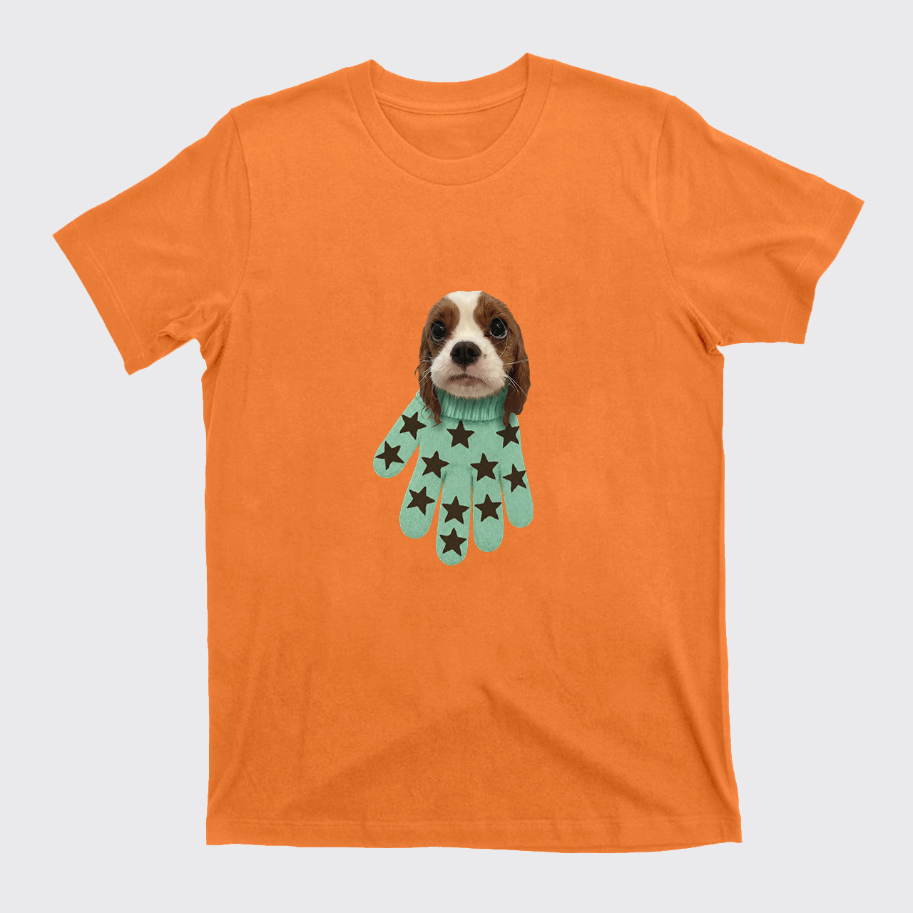 Personalized Pet in a Glove T-Shirts