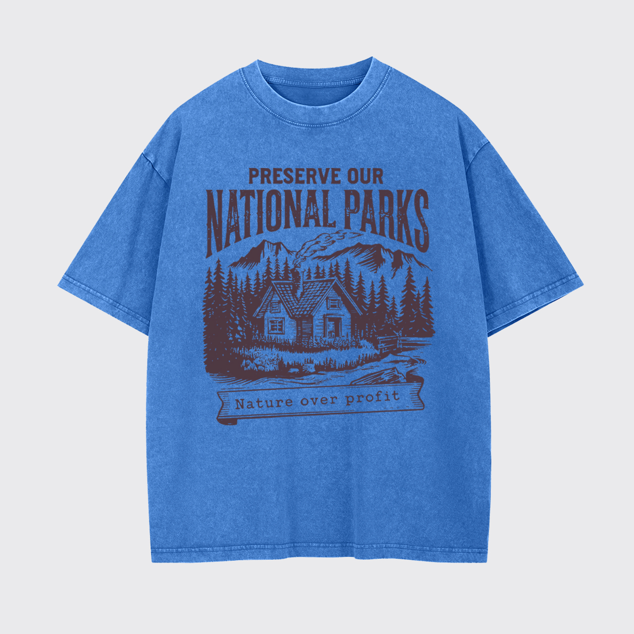 Vintage Protect Our National Parks Garment-dye Tees