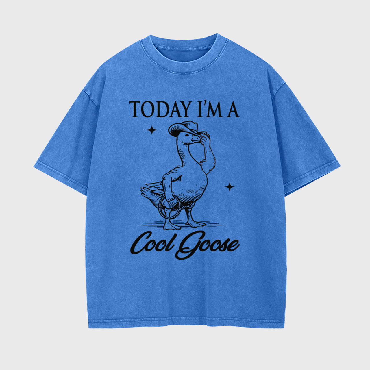 Today I'm A Cool Goose Garment-dye Tees