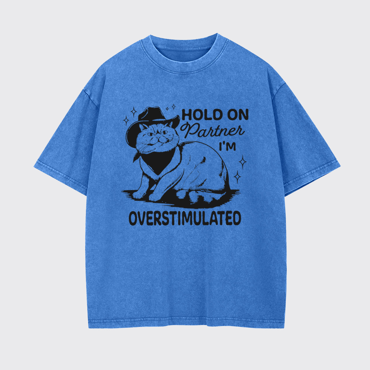 Funny Sarcastic Cat 90s Hold On Partner I'm Overstimulated Garment-dye Tees