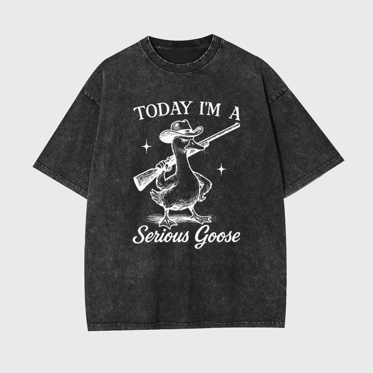 Retro Silly Goose-Today I'm A Serious Goose Garment-dye Tees