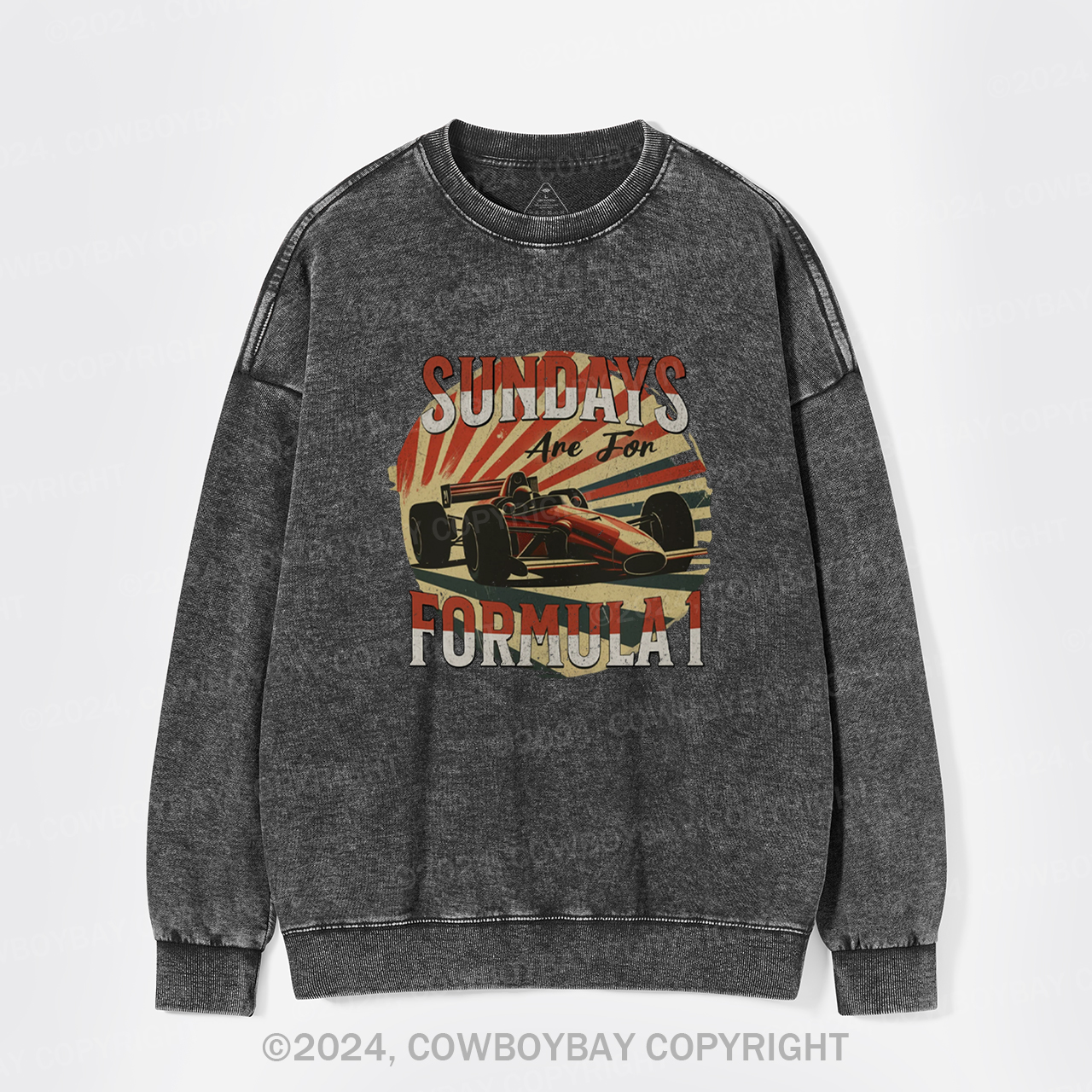 Retro F1 Washed Sweatshirts