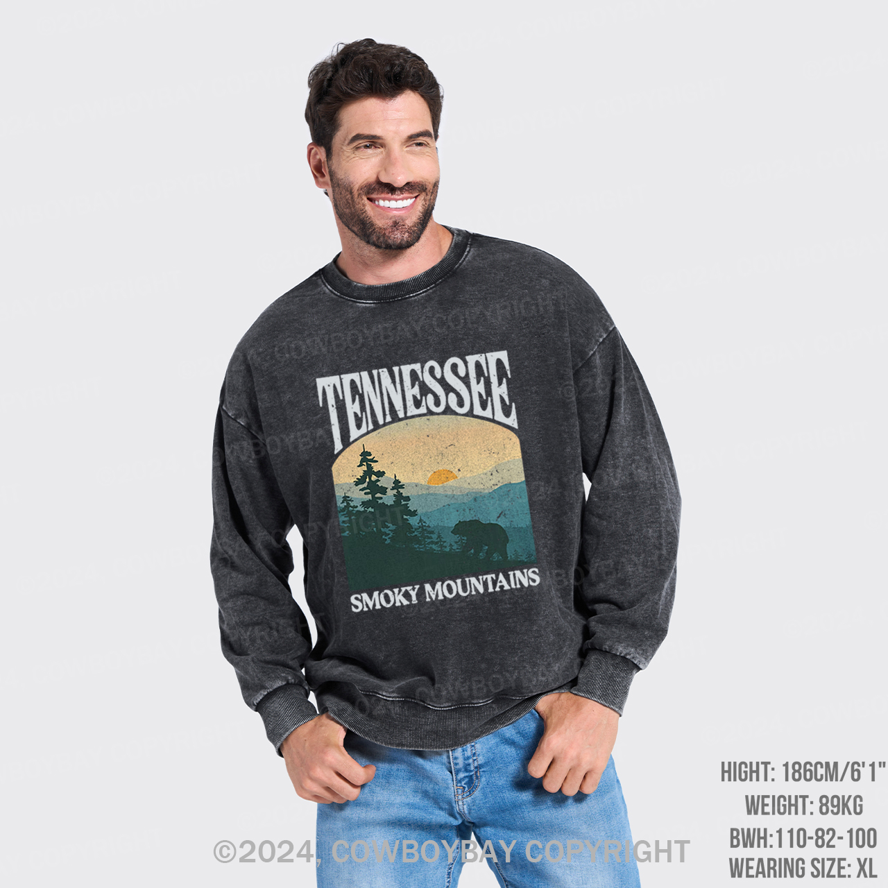 Tennessee Smoky Mountains Washed Sweatshirts