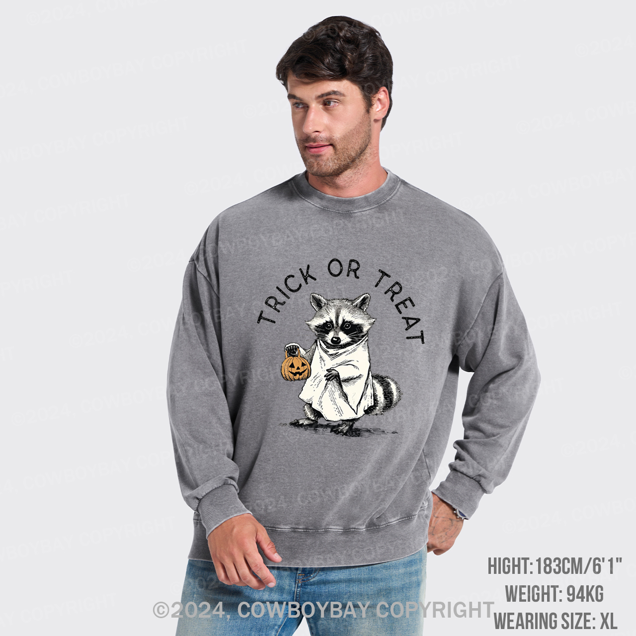 Trick Of Treat Washed Sweatshirts