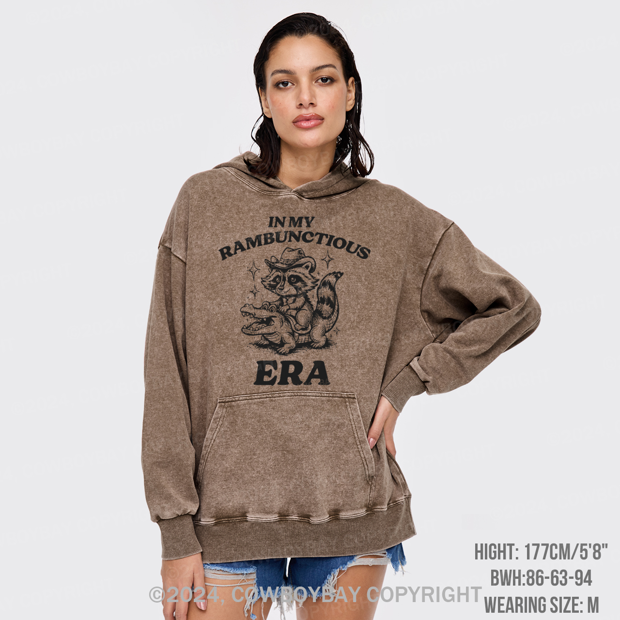 In My Rambunctious Era Garment-Dye Hoodies