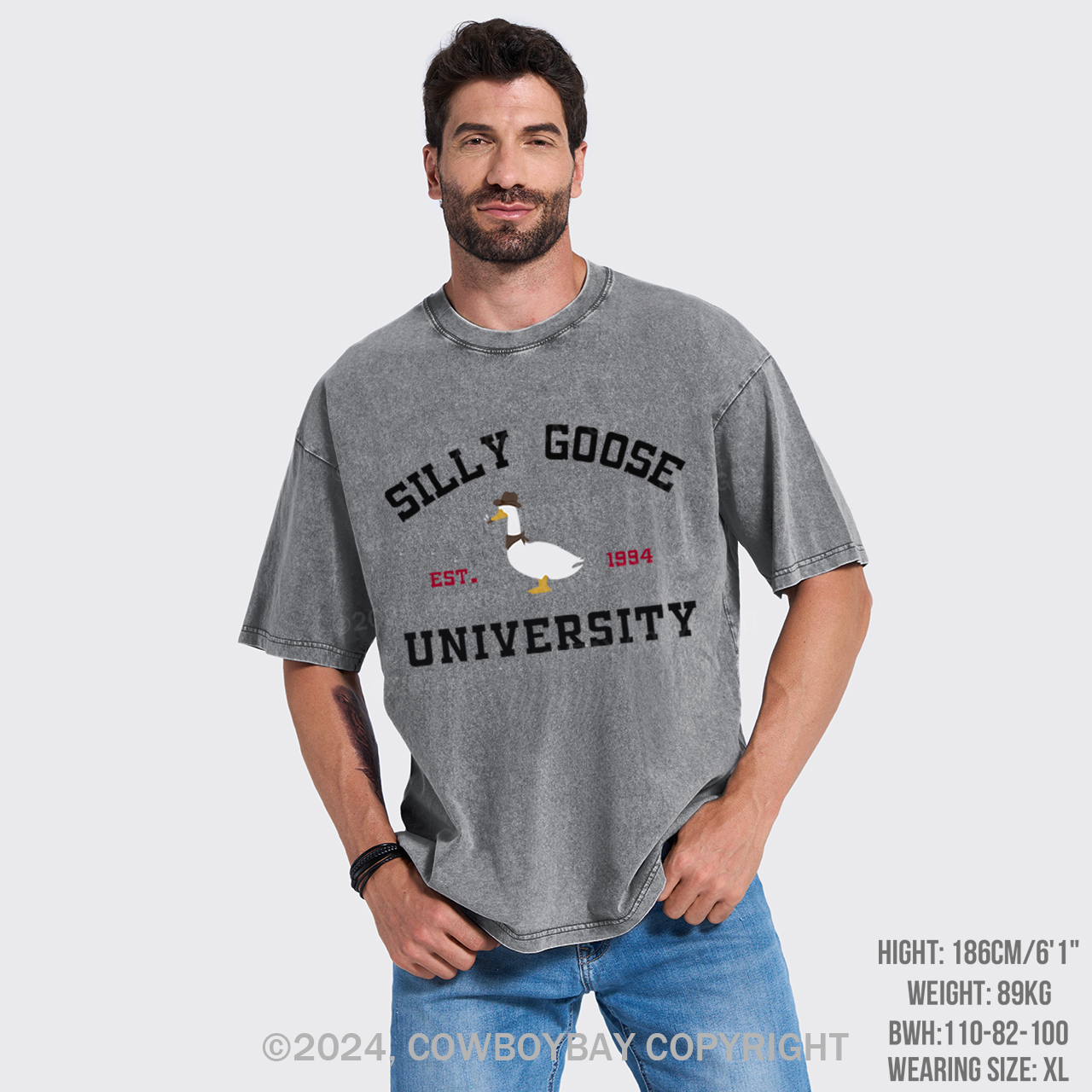 Silly Goose University Garment-dye Tees