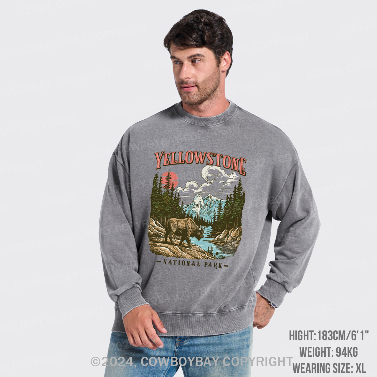 Vintage Yellowstone National Park Washed Sweatshirts