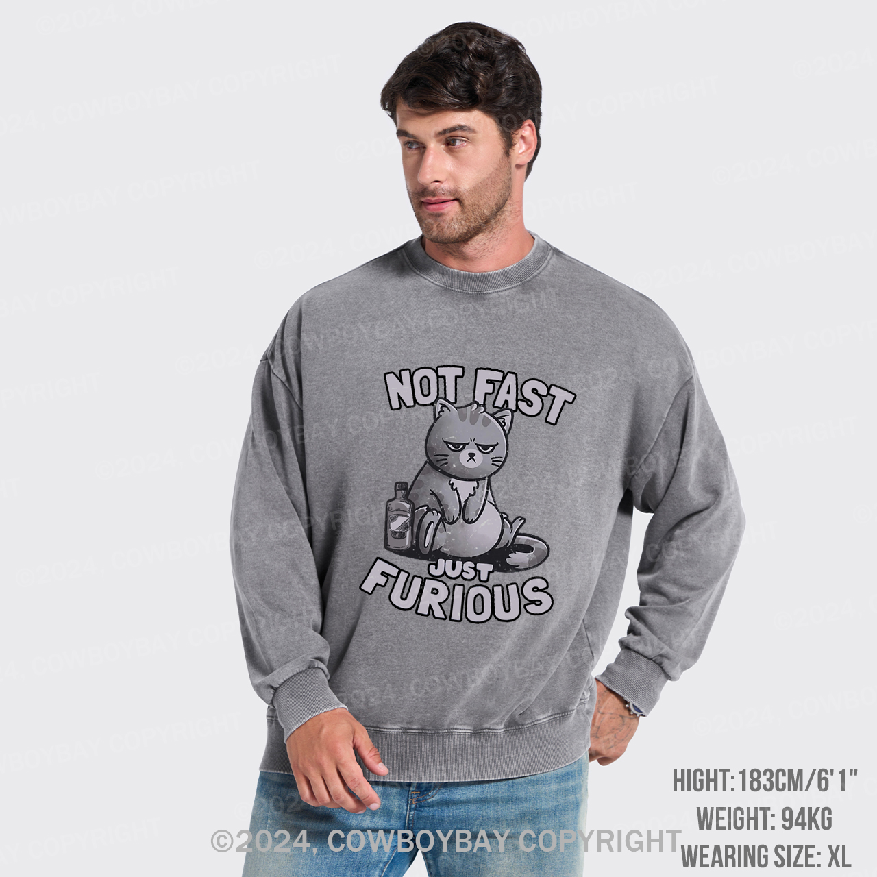 Not Fast Just Furious Cat Washed Sweatshirts
