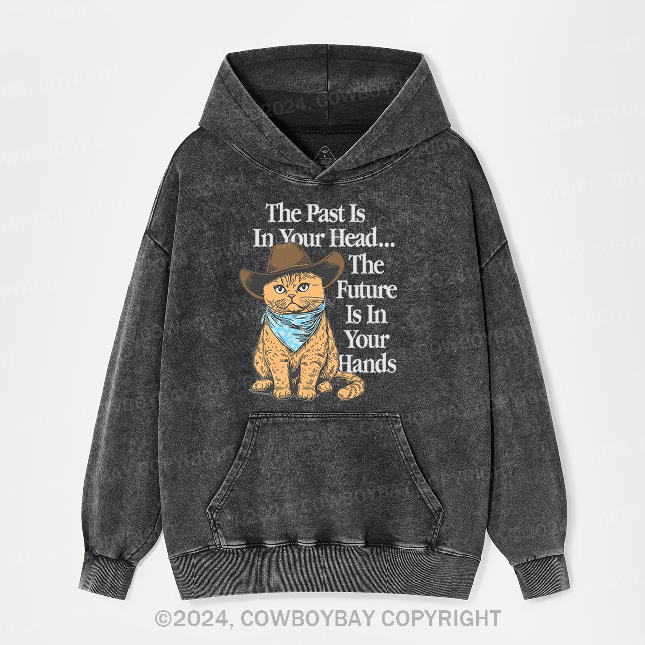 The Past Is In Your Head Garment-Dye Hoodies