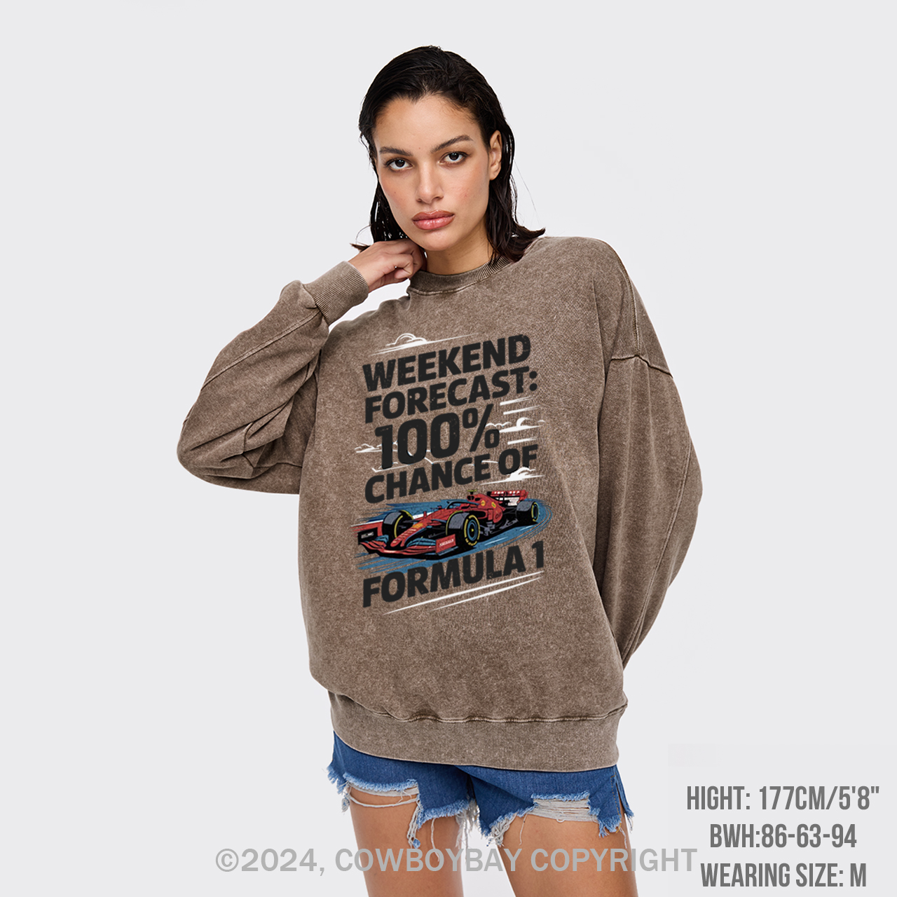 100% Chance Of Formula 1 Washed Sweatshirts
