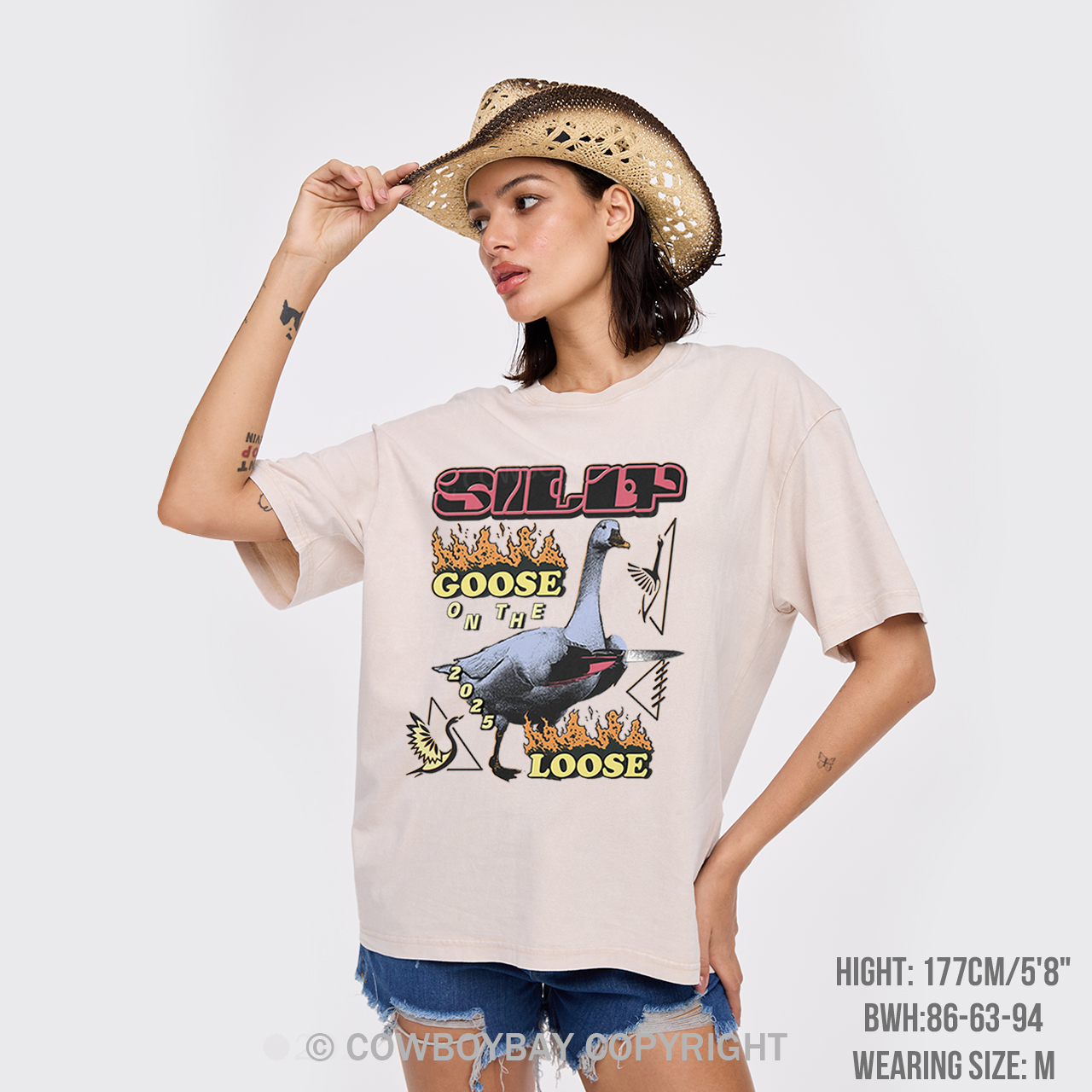 Silly Goose On The 2025 Loose Garment-dye Tees