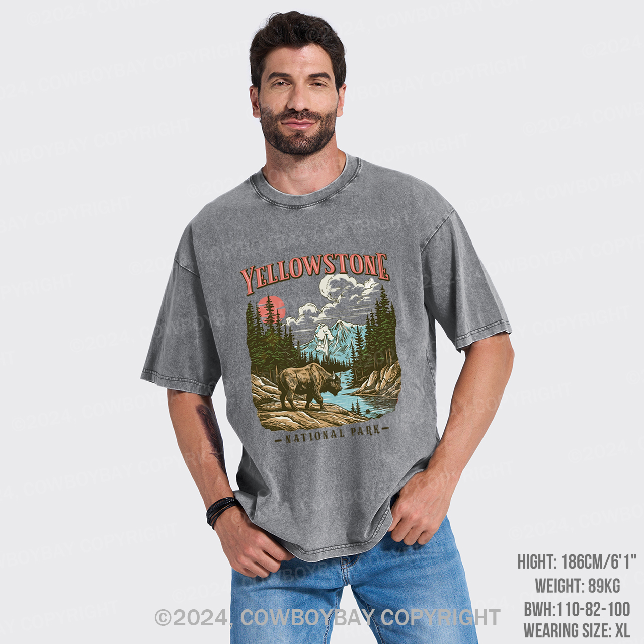 Vintage Yellowstone National Park Garment-dye Tees
