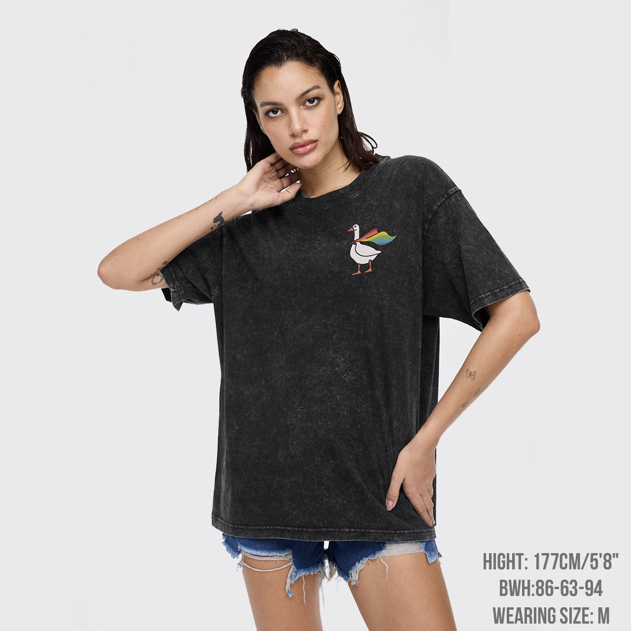 Rainbow Goose Embroidered Garment-dye Tees