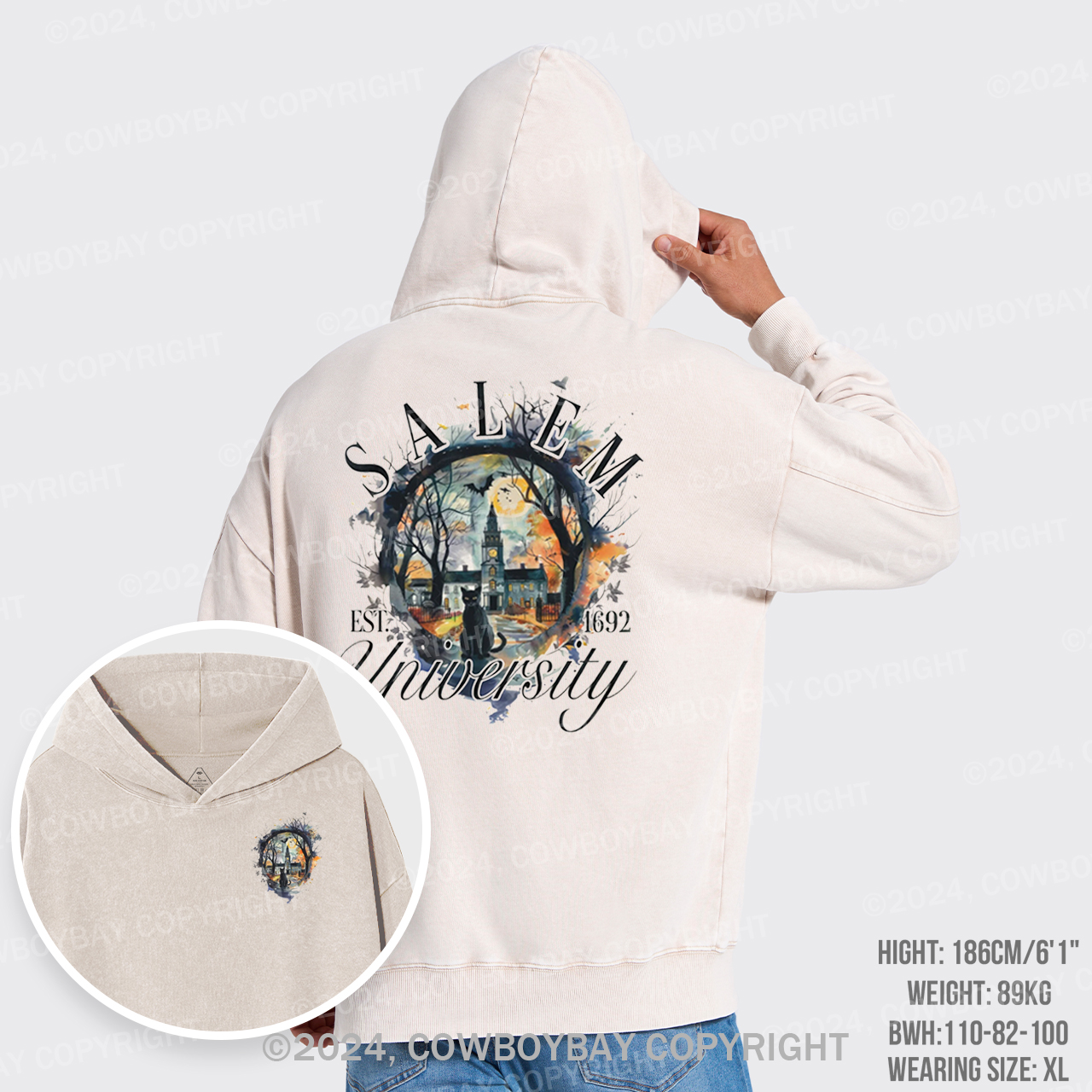 Salem University  EST.1692 Garment-Dye Hoodies