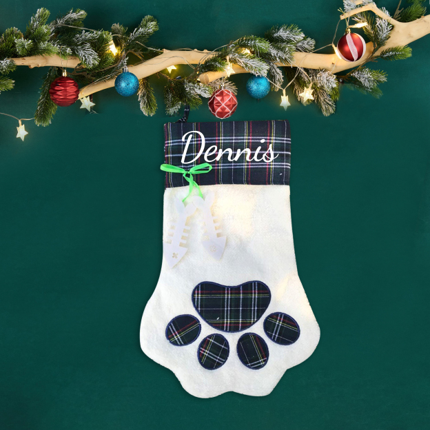 Personalized Christmas Pet Stocking with Name | MCGift09