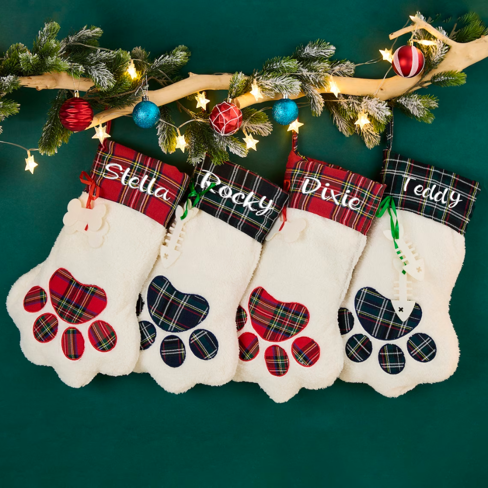 Personalized Christmas Stocking with Family Name | MCGift09