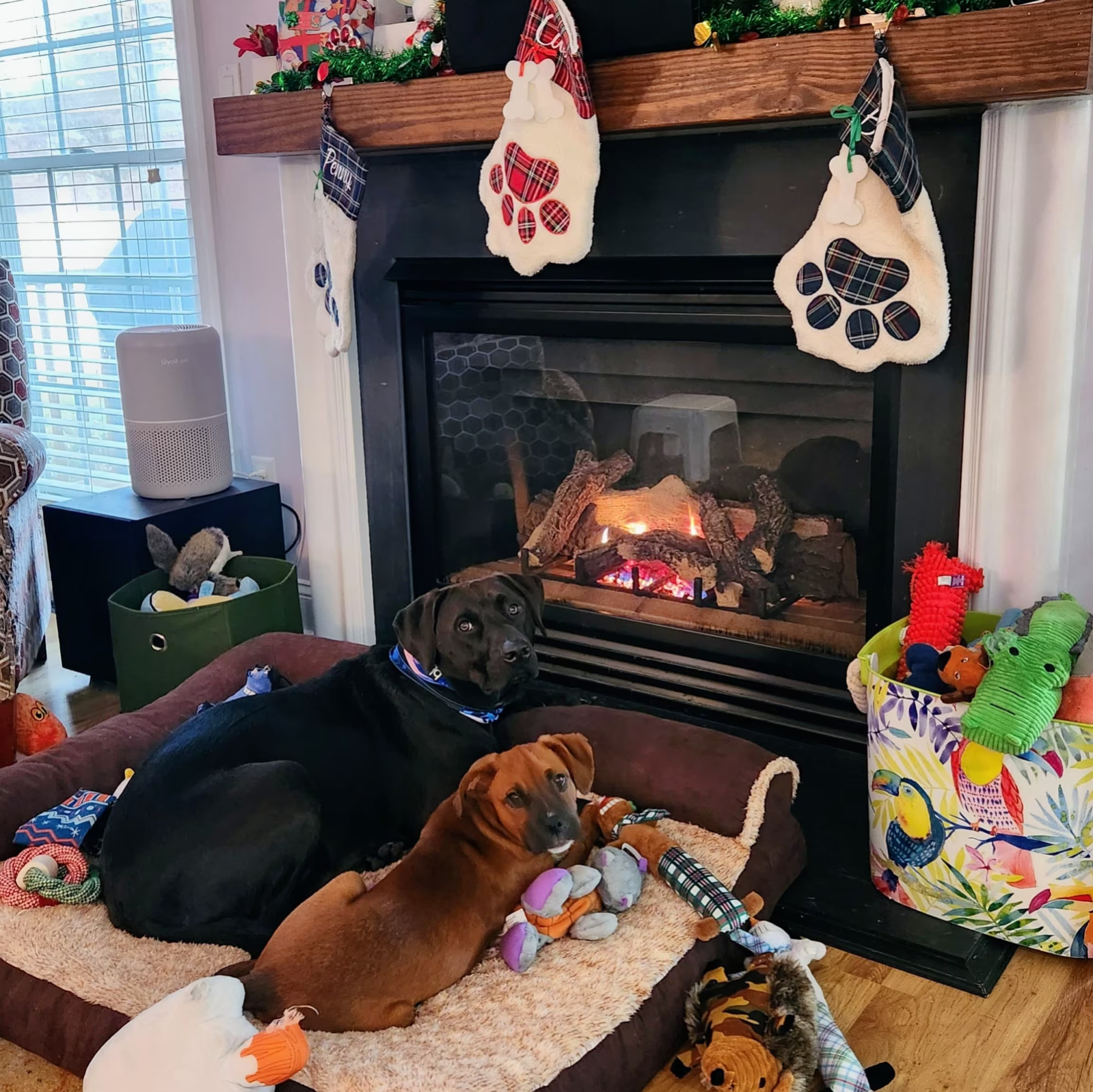 Personalized Christmas Stocking with Family Name | MCGift09