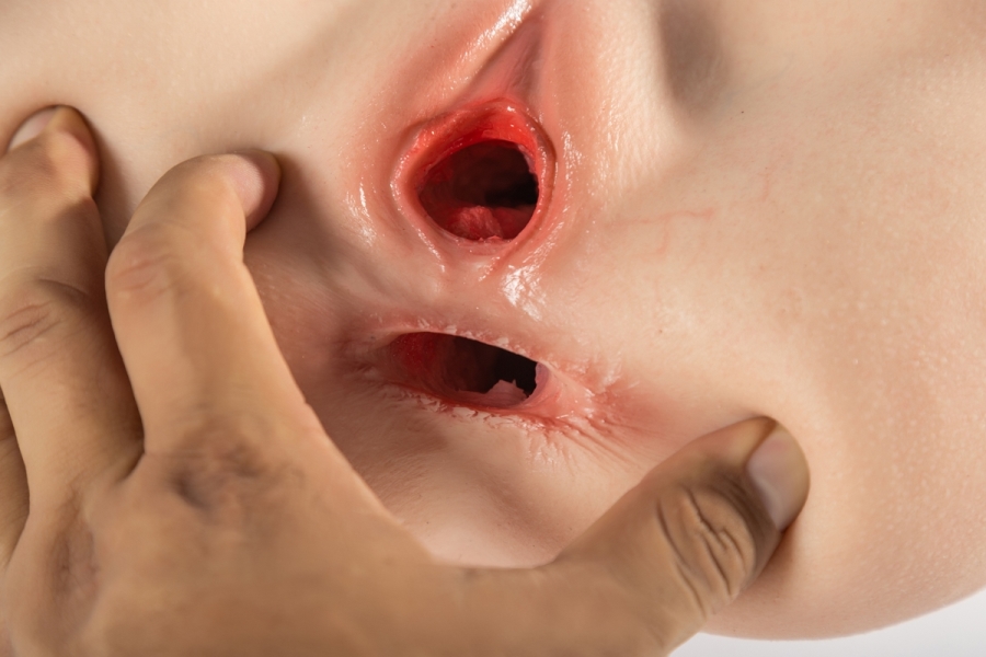 torso sexpuppe nackt