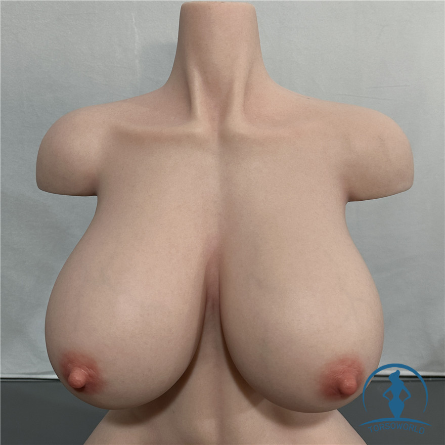 EU-85G Torso #2