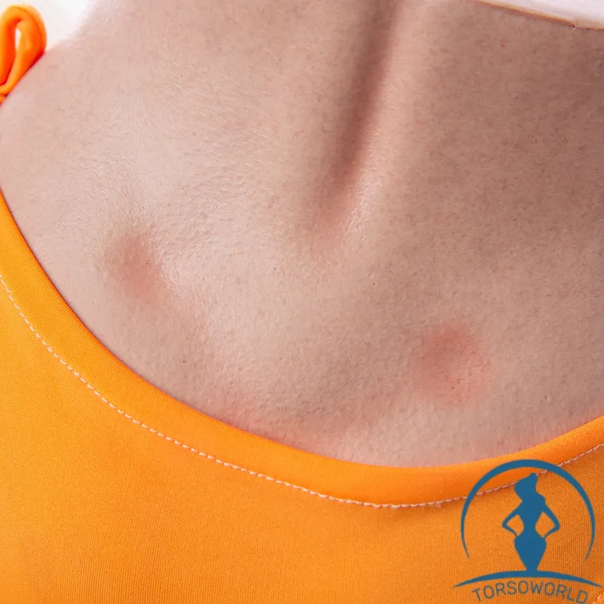 3.7kg Sichtbare Hautdetails Gesäß Xiaoman Qita Lebensechter Silikon Torso Sex Doll