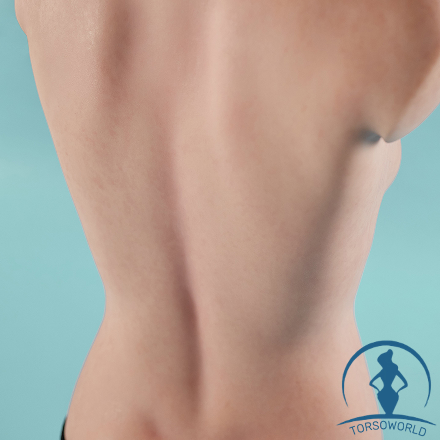 Climax Silikon AA Cup 661# Sex Torso | CLM ULW