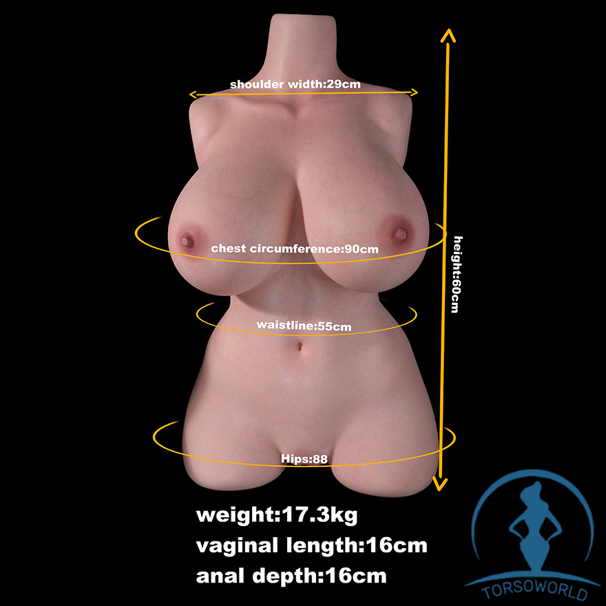 Yumiko: MD Doll T01 Sex Torso mit M61 Kopf Maßzeichnung