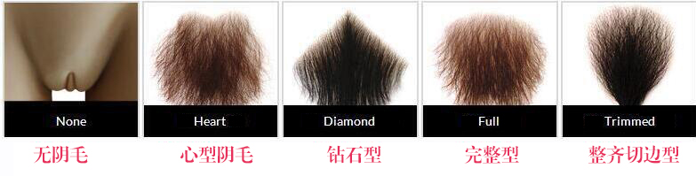 Torso Sexpuppe Schamhaar