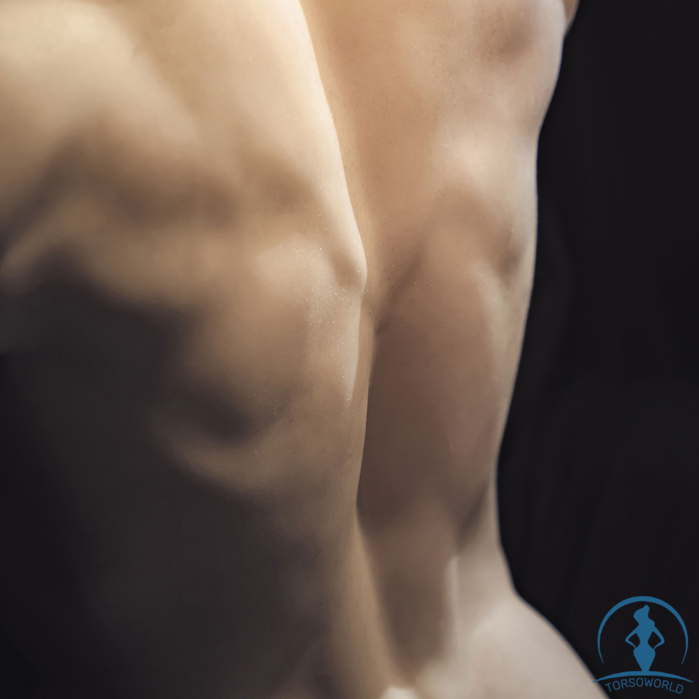 torso dolls real 24kg