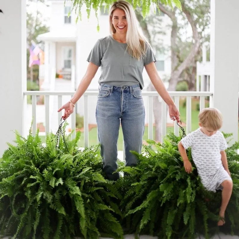 🔥$9.98 Today Only--UV Resistant Lifelike Artificial Boston Fern🌱