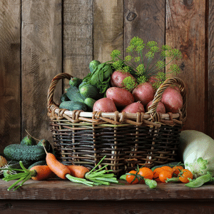 sementes de vegetais para plantio em casa jardim sementes de plantas vegetais sementes de plantas estufa homesteading