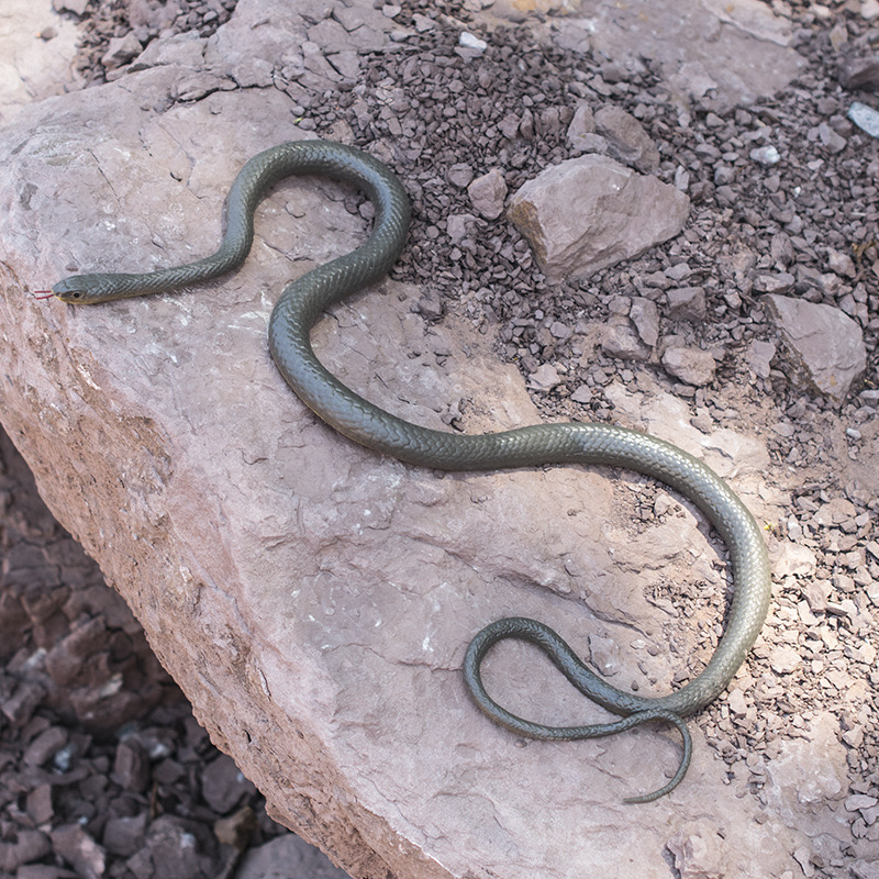 Mespluin Golf Snake Prank with String and Clip, Snake On A String Prank, Realistic Snake Prank That Chases People, Cooler Fake Snake Prank Prop for Teasing Friends