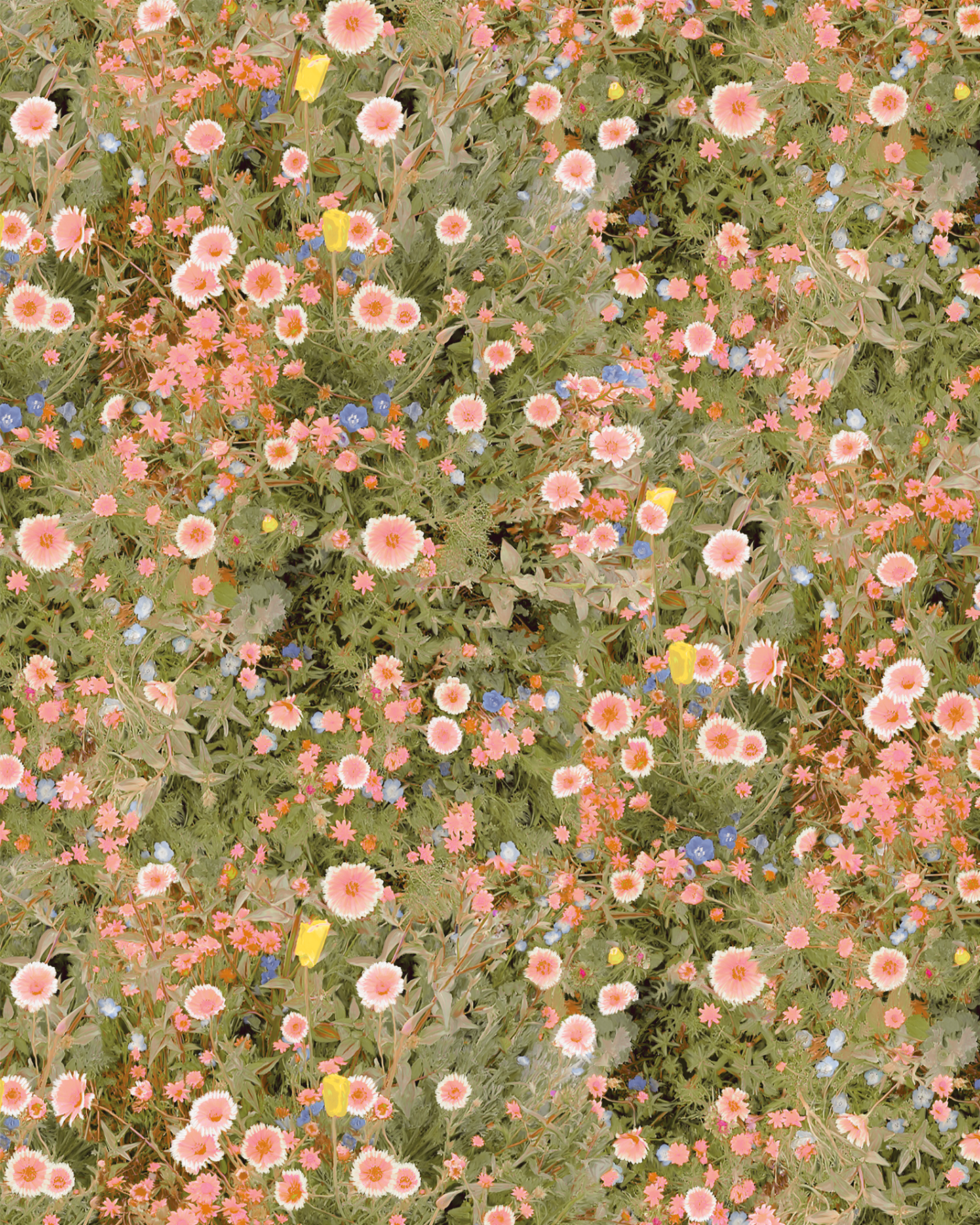 Cali Flowers Wallpaper, peachy green