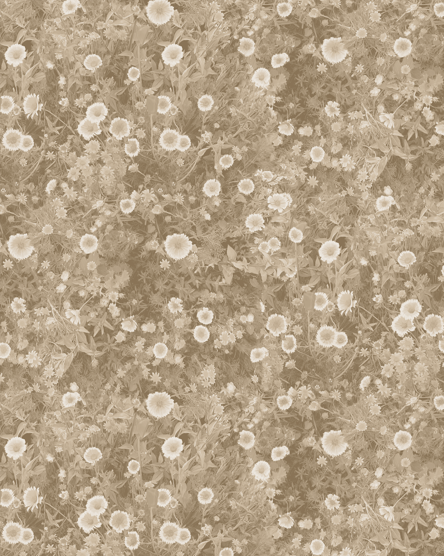 Cali Flowers Wallpaper, neutrals