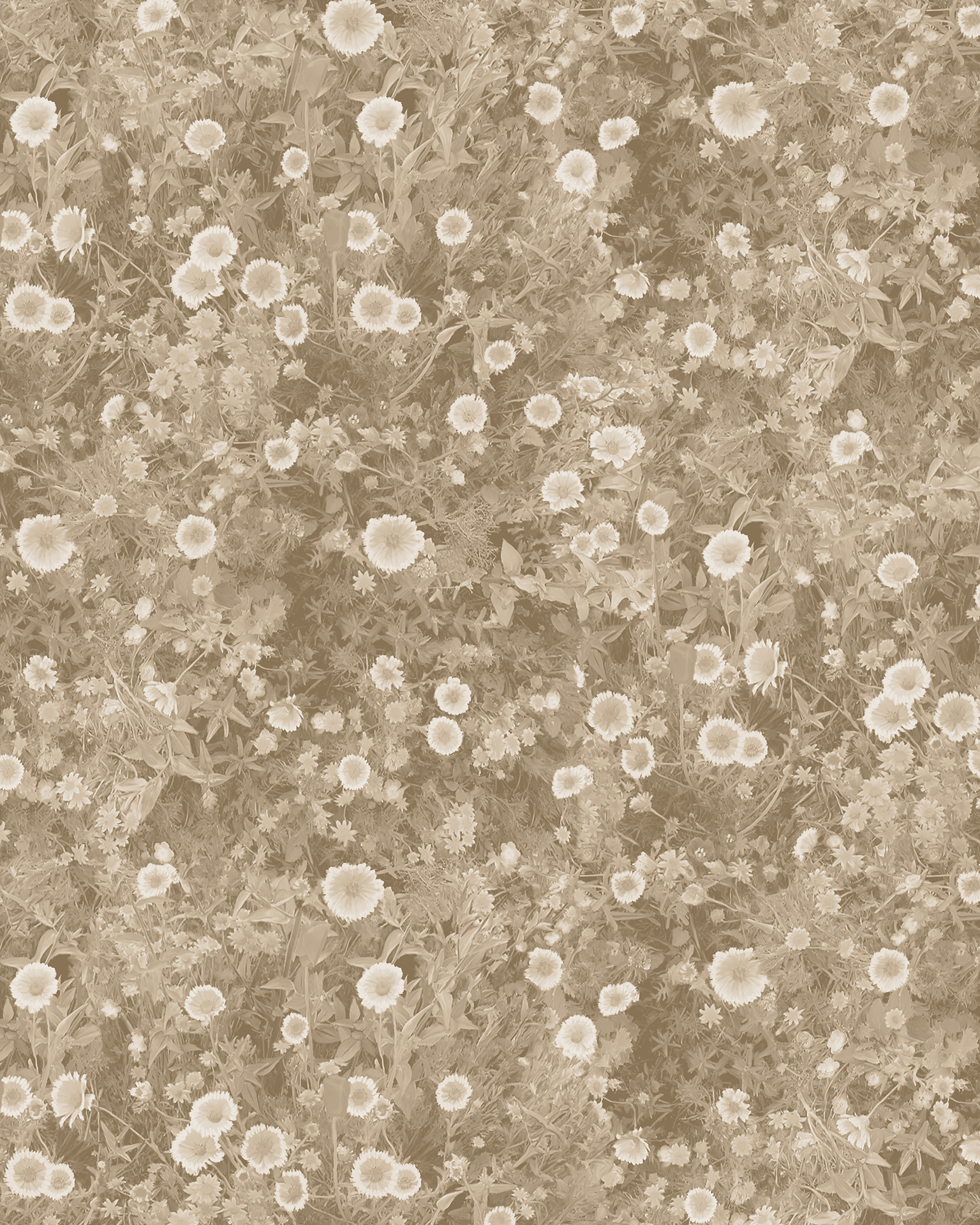 Cali Flowers Wallpaper, neutrals