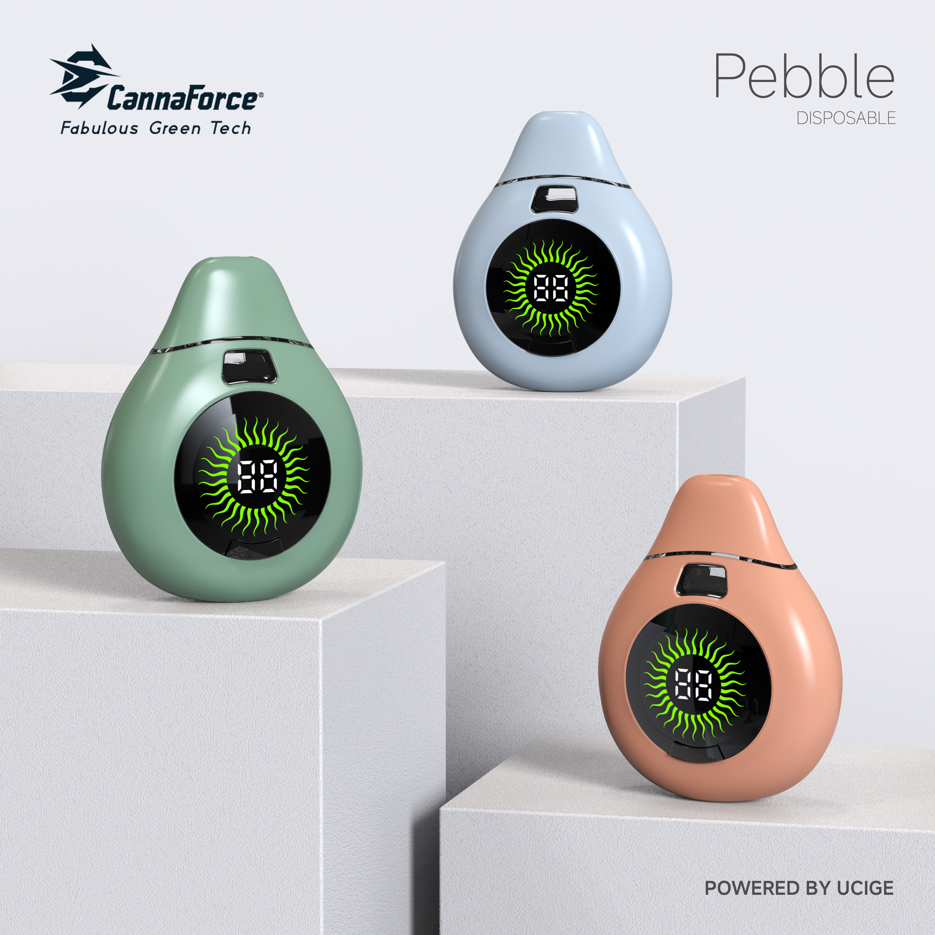 Pebble Box Disposable